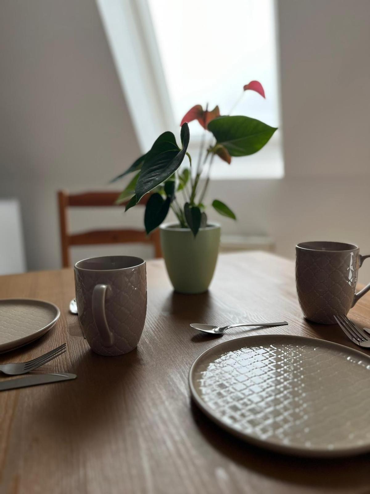 1 Raum Dachgeschosswohnung In Ruhiger Lage Limabach - Oberfrohna Dış mekan fotoğraf